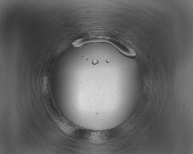 X0000083530130200702240028