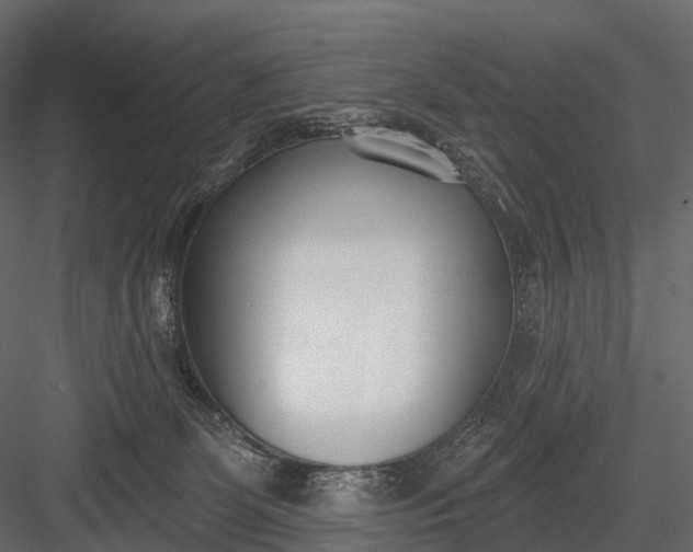 X0000083530131200702240028