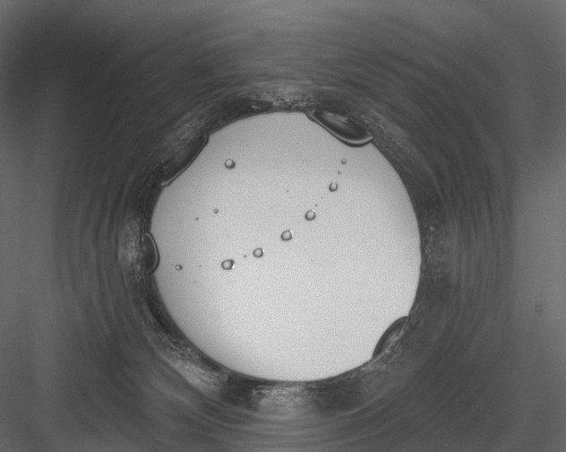 X0000083530132200702240028