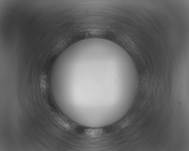 X0000083530135200702240028