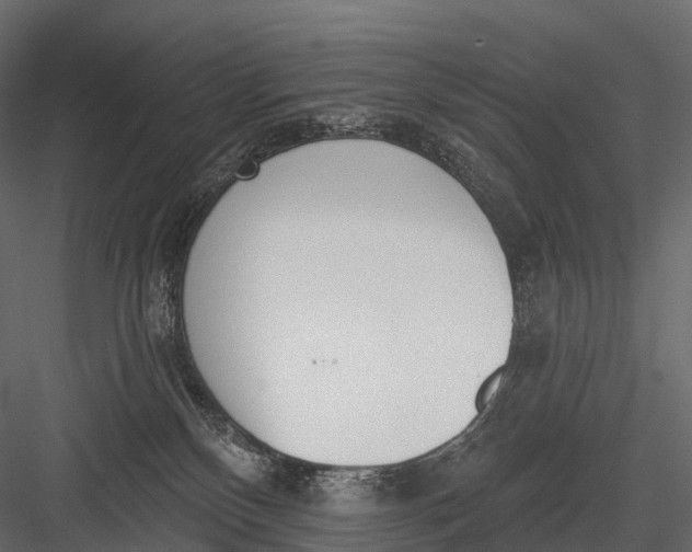 X0000083530136200702240028