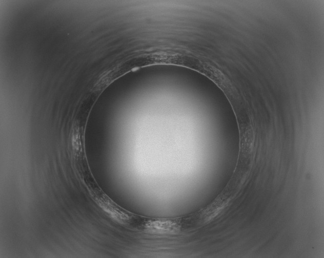 X0000083530137200702240028