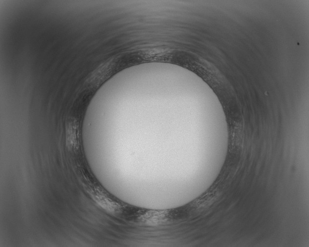 X0000083530138200702240028