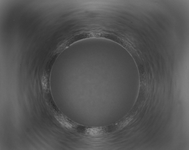 X0000083530139200702240028