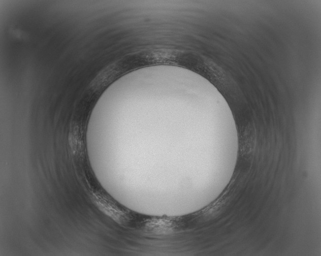 X0000083530140200702240028