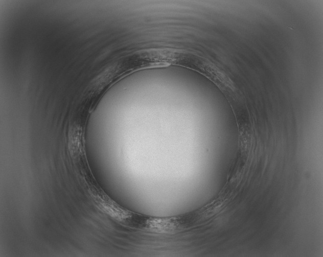 X0000083530141200702240028