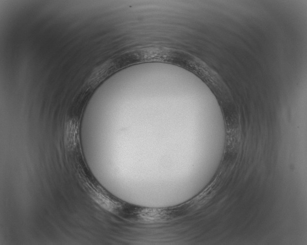 X0000083530142200702240028