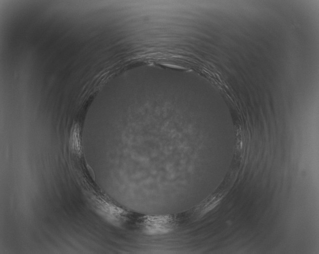 X0000083530143200702240028