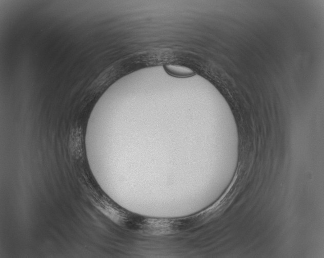 X0000083530144200702240028