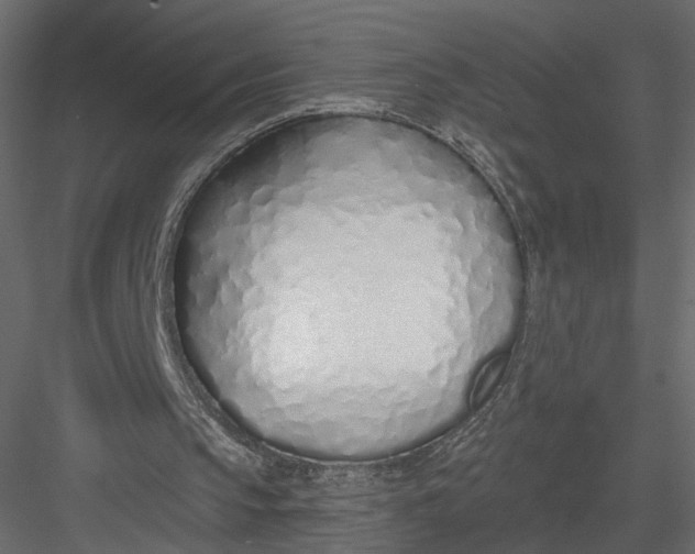 X0000083530145200702240027