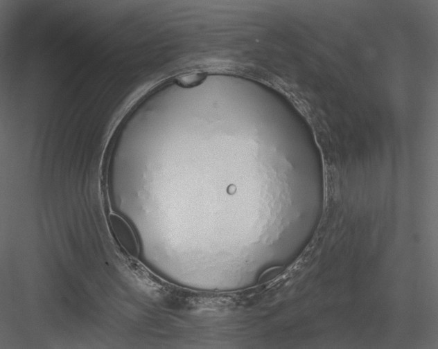 X0000083530147200702240027