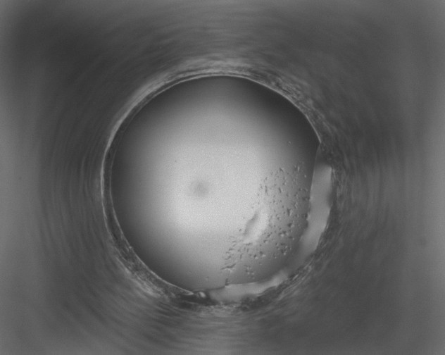 X0000083530148200702240027