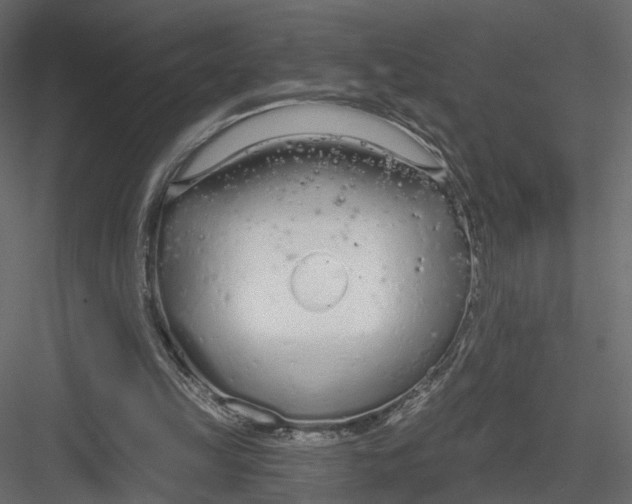 X0000083530149200702240027