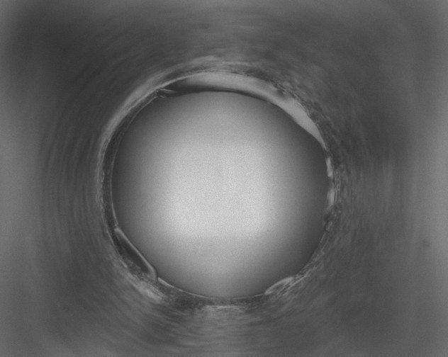 X0000083530150200702240027