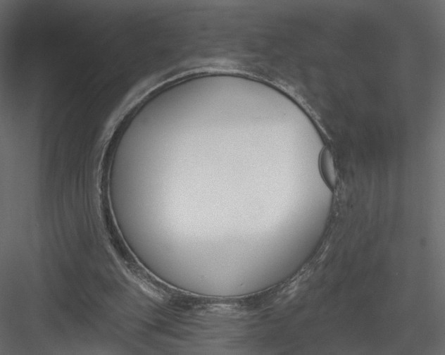 X0000083530151200702240027