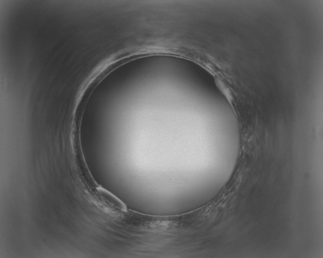 X0000083530152200702240027