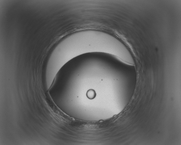 X0000083530154200702240027