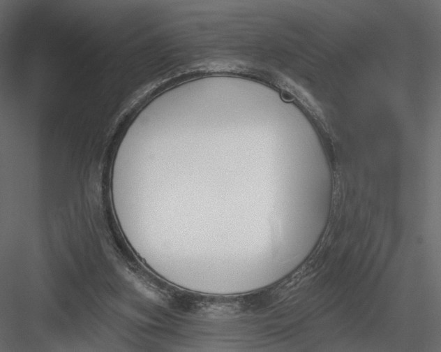 X0000083530155200702240027