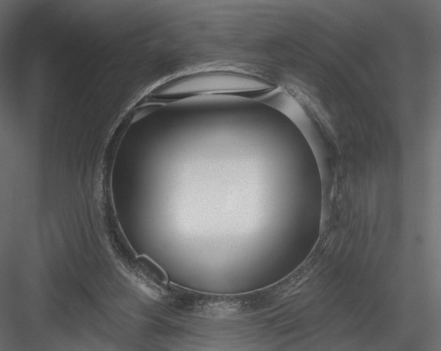 X0000083530156200702240027