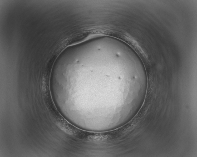 X0000083530161200702240027