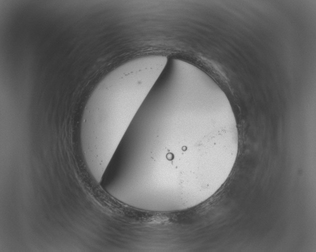 X0000083530162200702240027