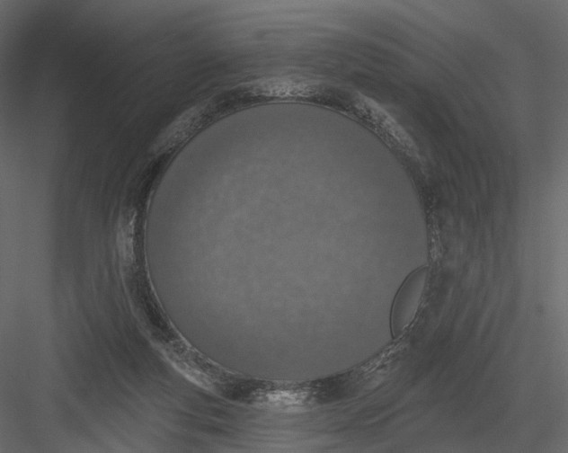 X0000083530163200702240027