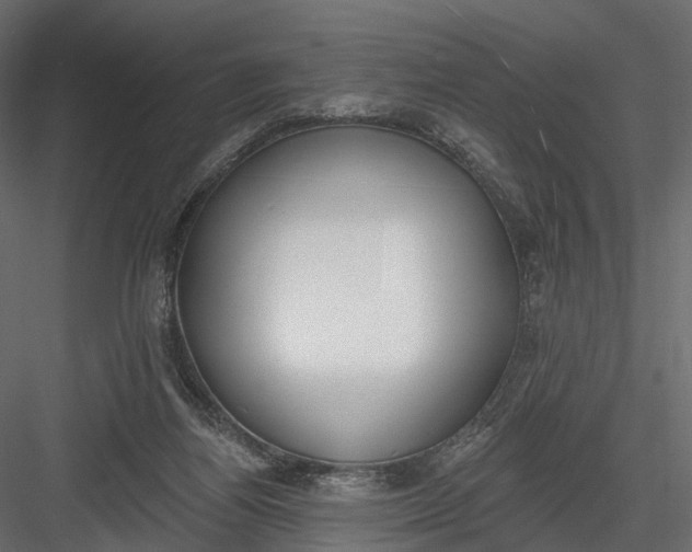 X0000083530164200702240027