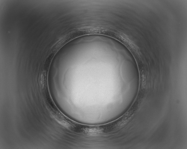 X0000083530165200702240027