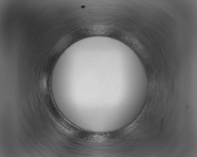 X0000083530166200702240027