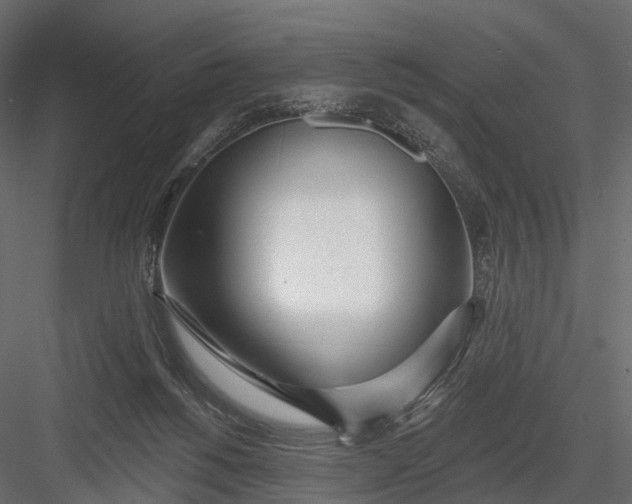 X0000083530168200702240027