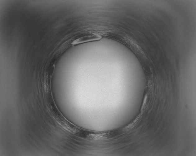 X0000083530170200702240028