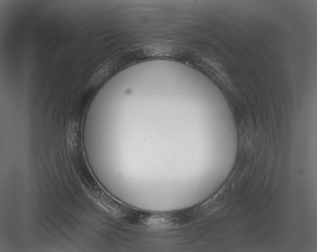 X0000083530171200702240028