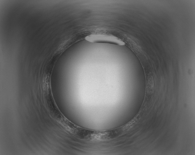 X0000083530172200702240028