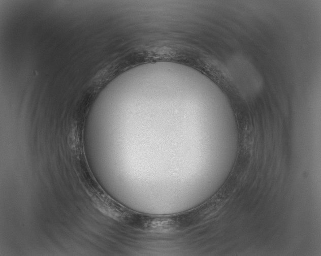 X0000083530173200702240028