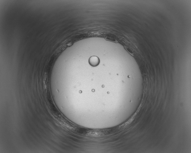 X0000083530174200702240028