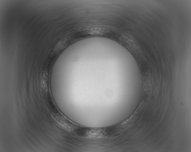 X0000083530175200702240028