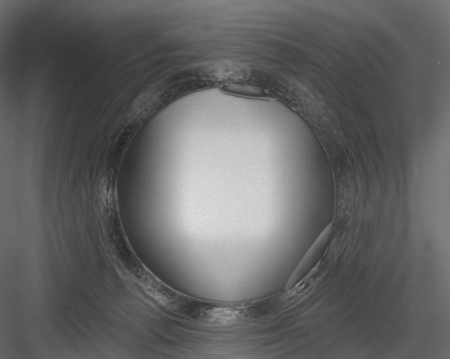 X0000083530176200702240028