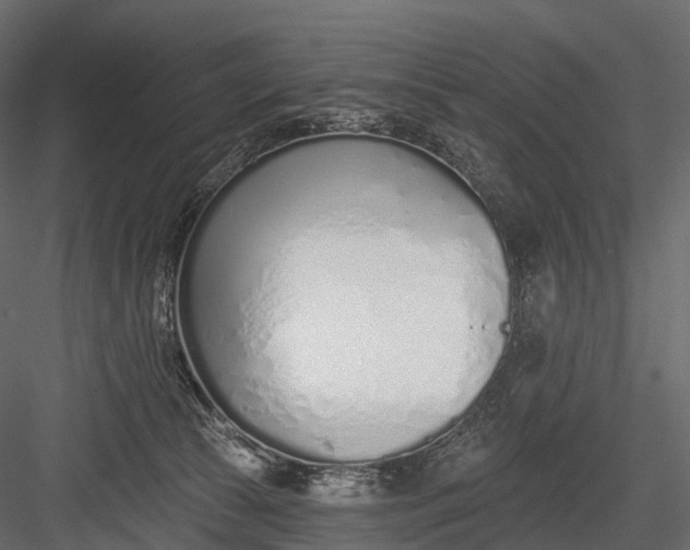 X0000083530177200702240028