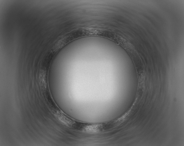 X0000083530178200702240028