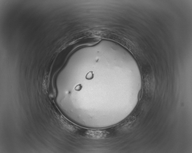 X0000083530181200702240028