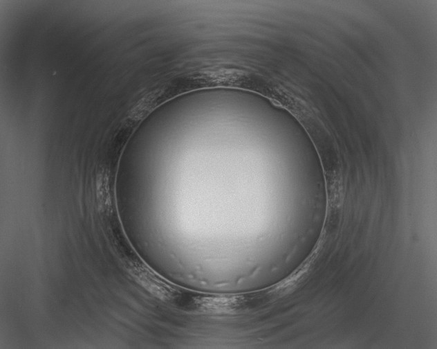 X0000083530182200702240028