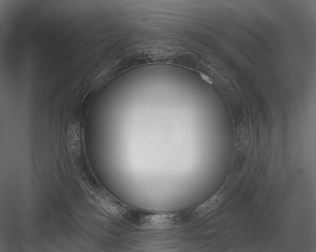 X0000083530184200702240028