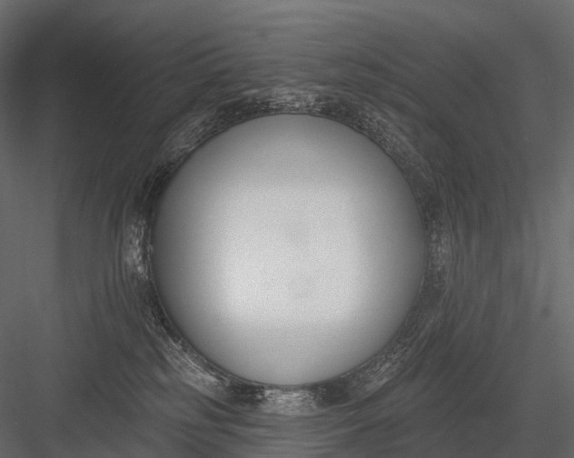 X0000083530185200702240028