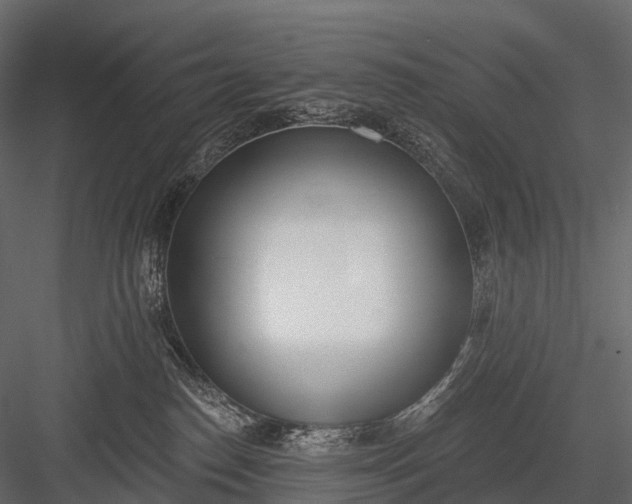 X0000083530186200702240028