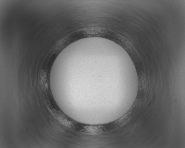 X0000083530187200702240028