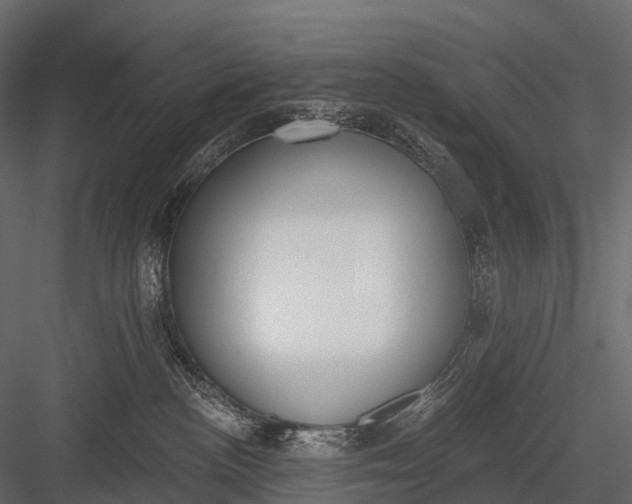 X0000083530188200702240028