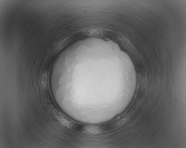 X0000083530189200702240028