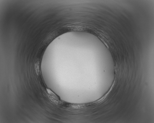 X0000083530190200702240028