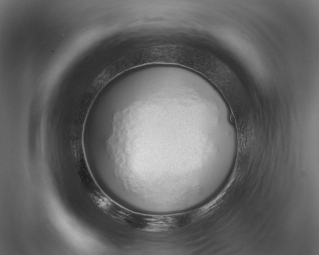 X0000083530191200702240028