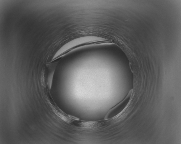 X0000083530192200702240028